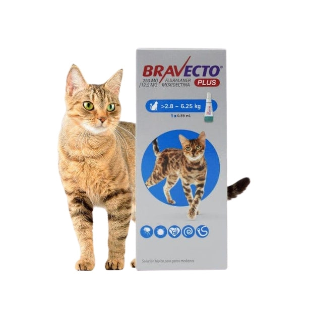 Bravecto Plus 2.8-6 25 Kg Pipeta Gato