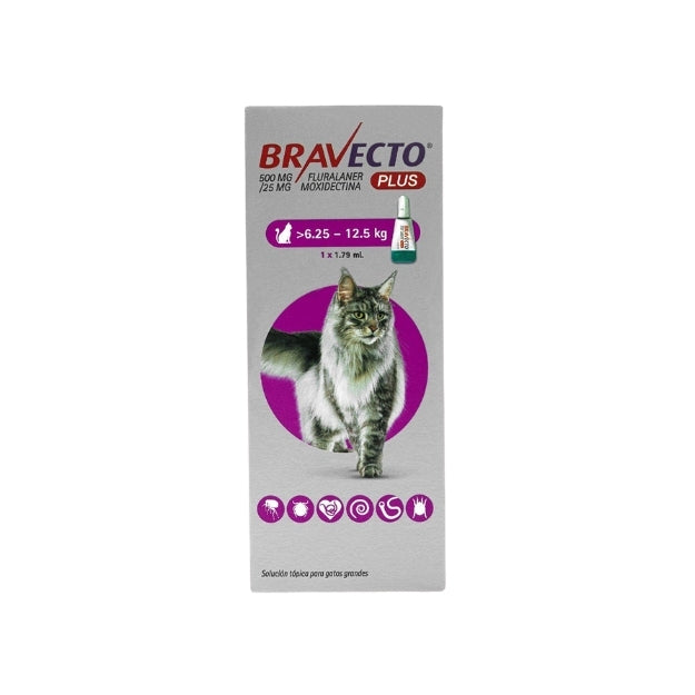 Bravecto Plus 6.25 12.5 Kg Pipeta Gato