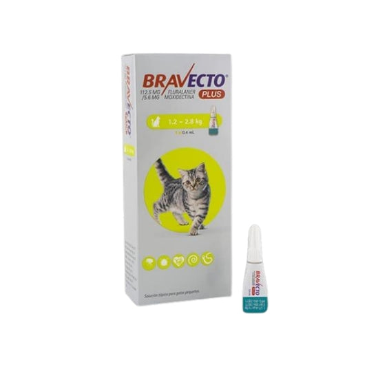 Bravecto Plus 1.2 - 2.8 Kg Gato Pipeta